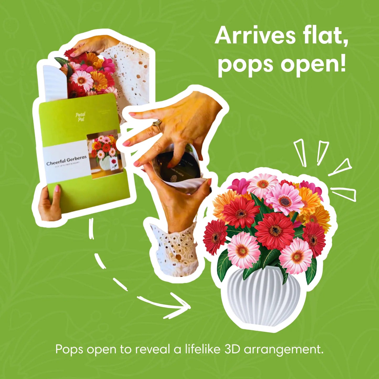 Cheerful Gerberas PetalPal