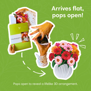 Cheerful-Gerberas-PetalPal