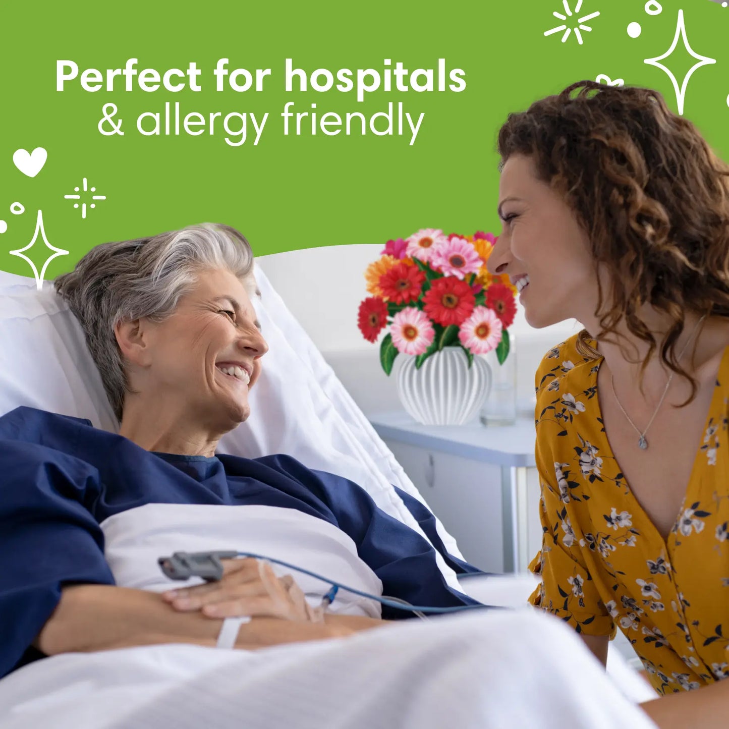 Cheerful Gerberas PetalPal