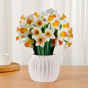 Daffodil-Bloom-PetalPal
