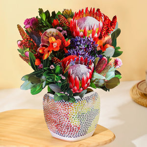 Kakadu-Embrace-PetalPal