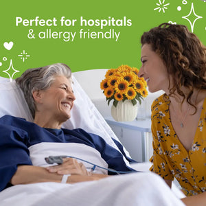 Sunflower-Smiles-PetalPal