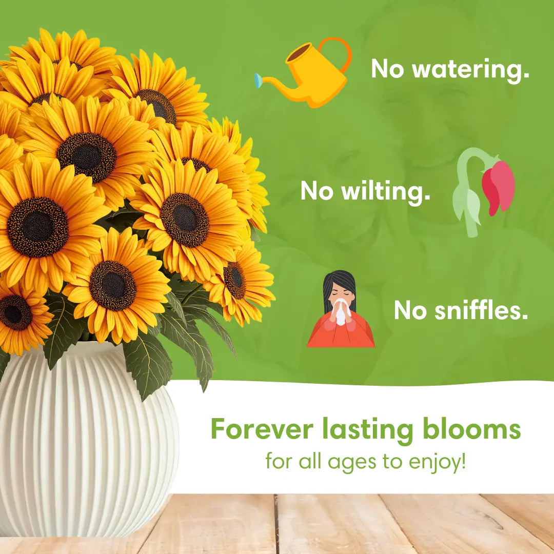 Sunflower Smiles PetalPal