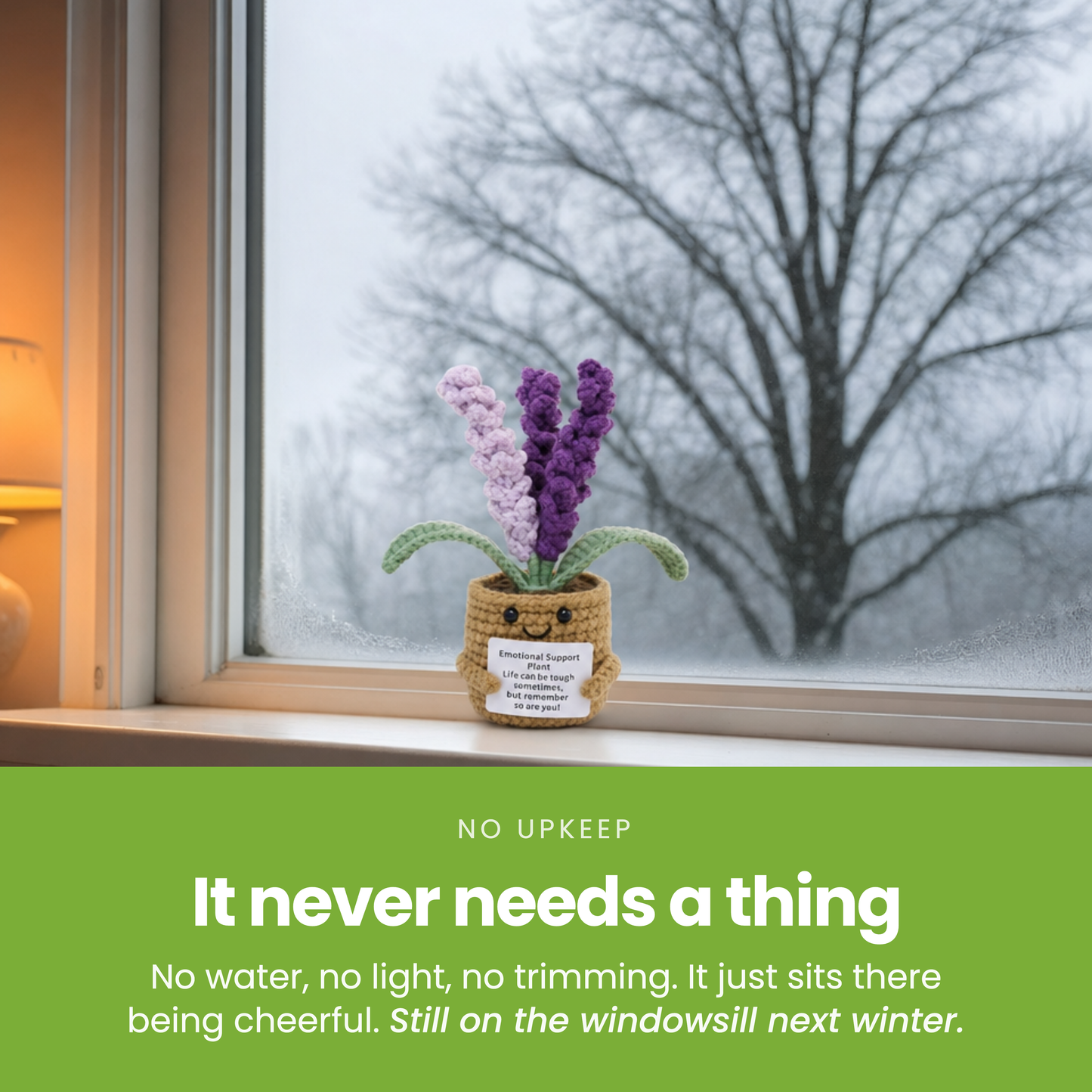 It never needs a thing [pl:c21ef30d80ba]
