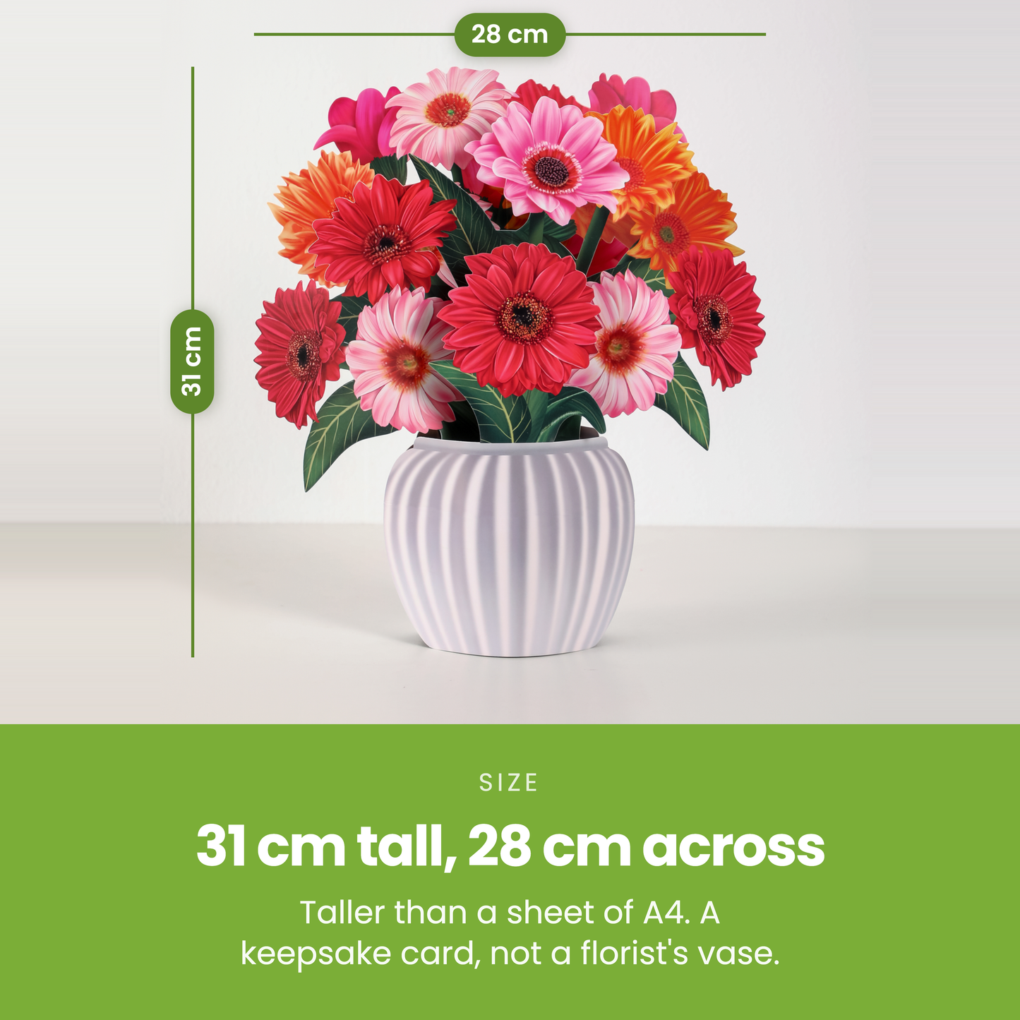 31 cm tall, 28 cm across [pl:07c0da1002b1]