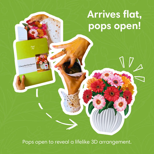 Vrolijke Gerberas pop-up boeket