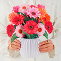 Vrolijke Gerberas pop-up boeket