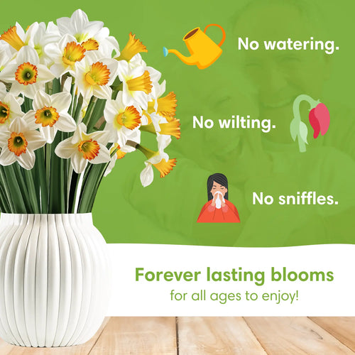 Popodil Bloom Pop-Up Bouquet