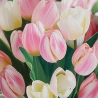 Tulpen kussen